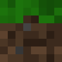Skin head f54b41d2864432aba243f3bbaef1df62