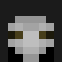 Skin head f69d993aaabfe125be77e132caaee261