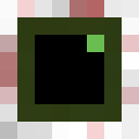 Skin head f8380b30e228f07b1161294b1f864051