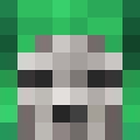 Skin head fc307cc5e5f82e81a58e17cc12e2f741