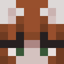 Skin head ff8050b17fb3a215a6d6fa27dc601263