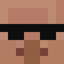 Skin head ff8486acb3d356cfbd02b3a8303a269e
