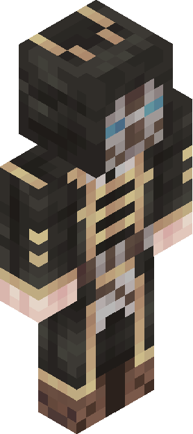 HaLiamNeeson skin render