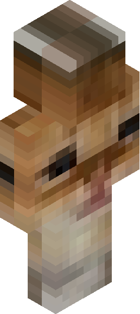 Minecraft skin tagged cat rank #46