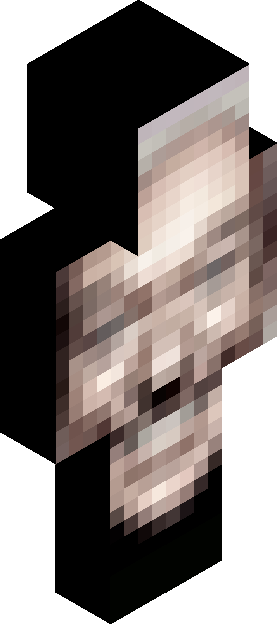 Minecraft skin tagged muted rank #46