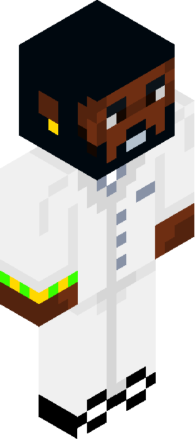 Minecraft skin tagged doctor rank #6