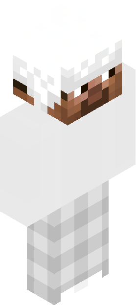 Minecraft skin tagged minimal rank #7