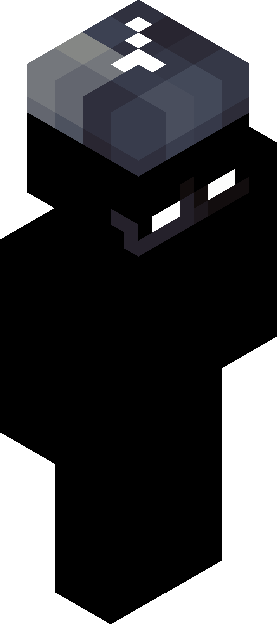 Minecraft skin tagged white rank #46