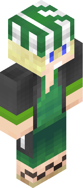 Minecraft skin tagged elf rank #29