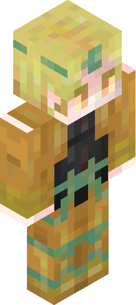Minecraft skin tagged traveler rank #10