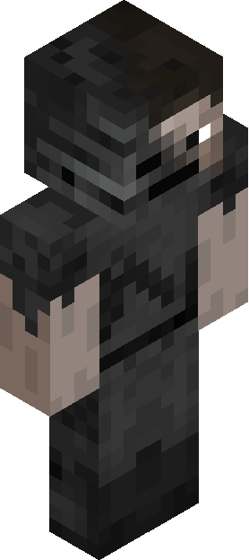 Minecraft skin tagged shaded rank #2