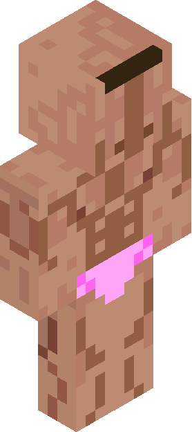 Minecraft skin tagged beachwear rank #9