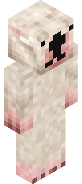 stinkyrainz skin render
