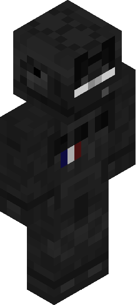 Minecraft skin tagged flag rank #14