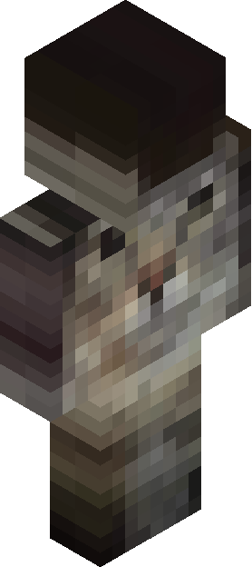 Minecraft skin tagged coat rank #27