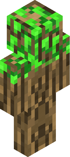 Minecraft skin tagged wooden rank #30