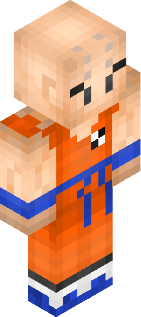 Minecraft skin tagged martialartist rank #10