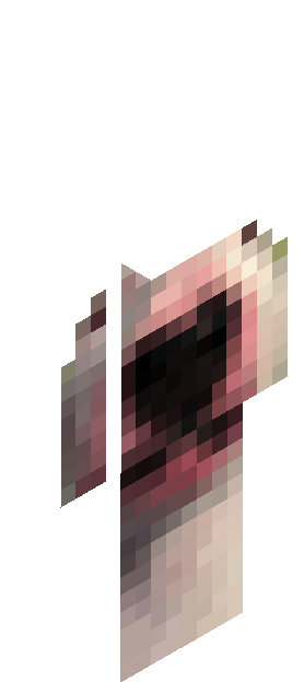 Minecraft skin tagged entity rank #2