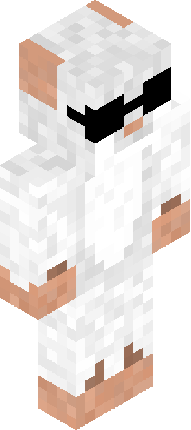 Minecraft skin tagged whiteout rank #7