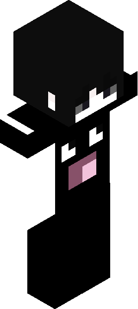 Minecraft skin tagged longsleeve rank #3
