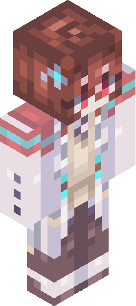 Minecraft skin tagged doctor rank #5