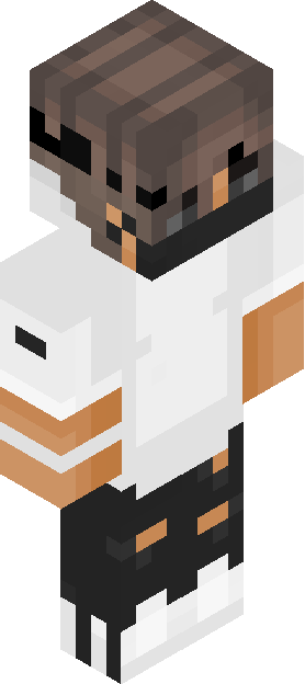 Minecraft skin tagged shortsleeves rank #14
