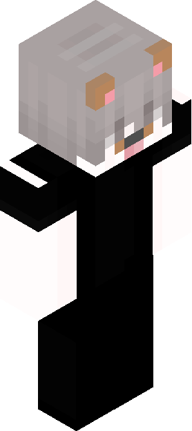 Minecraft skin tagged cat rank #11