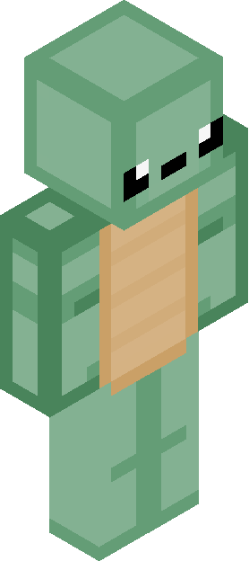 Minecraft skin tagged shell rank #12