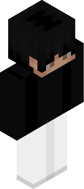 316q skin render