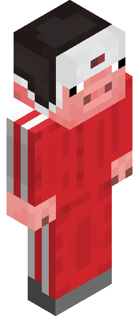 8zlotych skin render