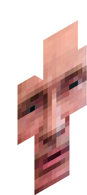 idint skin render