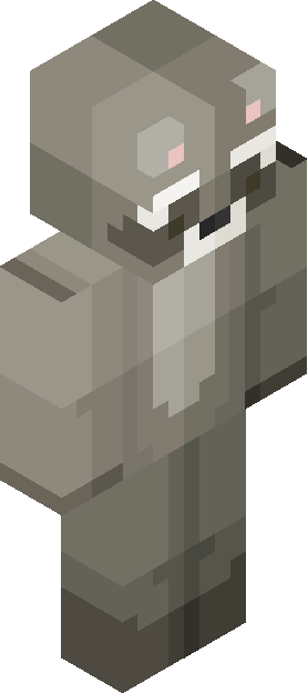 Minecraft skin tagged ragged rank #23