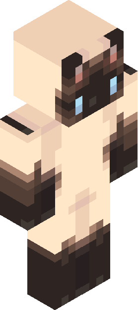 Minecraft skin tagged cat rank #9