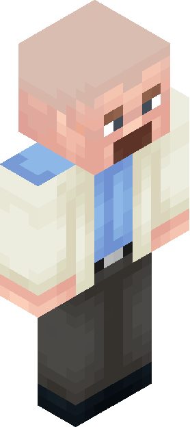 Minecraft skin tagged npc rank #19