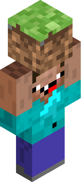 Minecraft skin tagged novelty rank #34