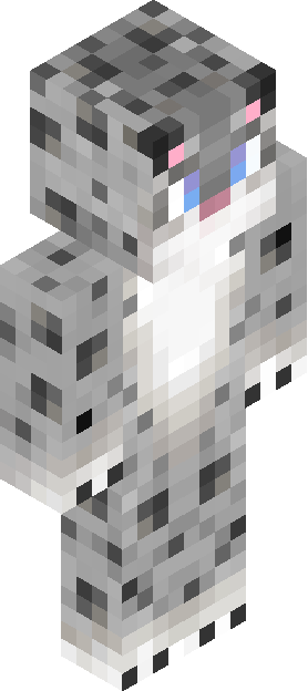 Minecraft skin tagged tabby rank #10