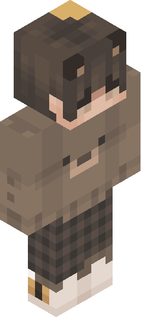 Minecraft skin tagged teen rank #9