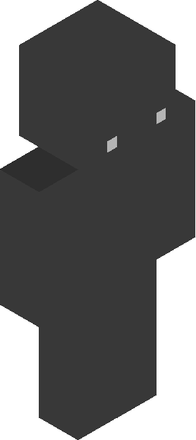 Minecraft skin tagged blank rank #34