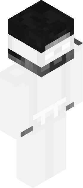 Minecraft skin tagged clean rank #9
