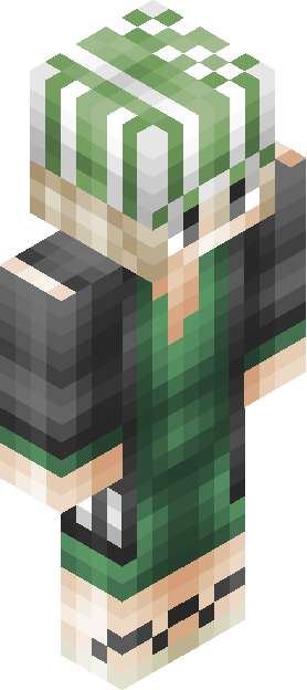 Minecraft skin tagged checkered rank #35