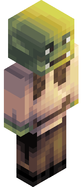 Fiiioo skin render