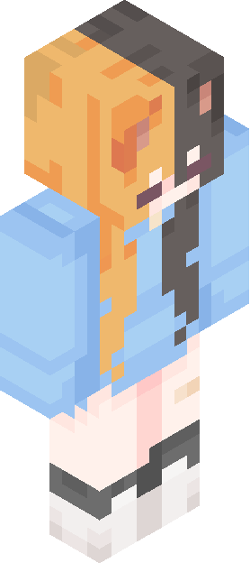 Minecraft skin tagged asymmetrical rank #18