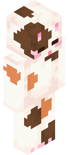 RagnarMeow skin render