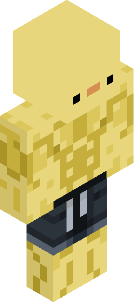 Minecraft skin tagged patterned rank #44
