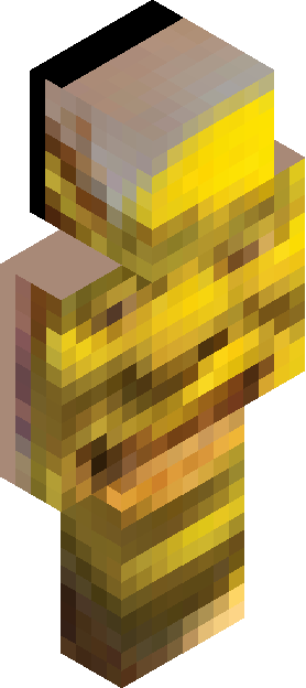 Minecraft skin tagged wrapped rank #27