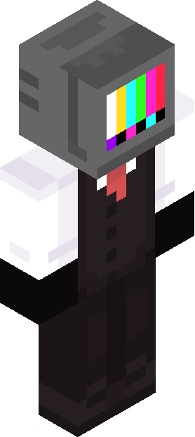 Minecraft skin tagged television rank #6