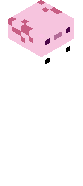 Minecraft skin tagged axolotl rank #8