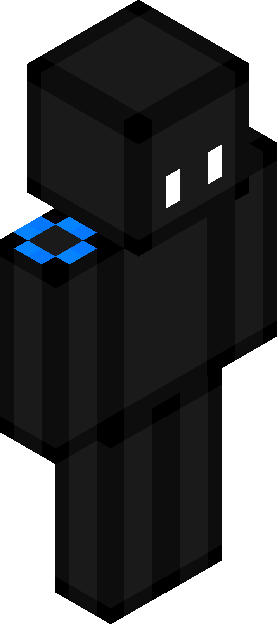 Minecraft skin tagged symbolic rank #12