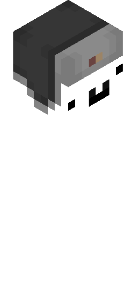 Minecraft skin tagged ghost rank #29