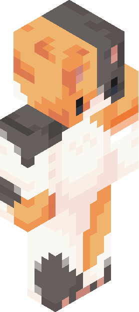 Minecraft skin tagged cat rank #23